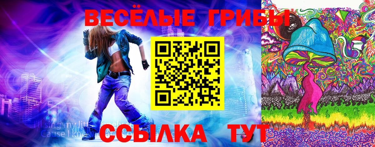 Псилоцибиновые грибы Psilocybe Камень-на-Оби