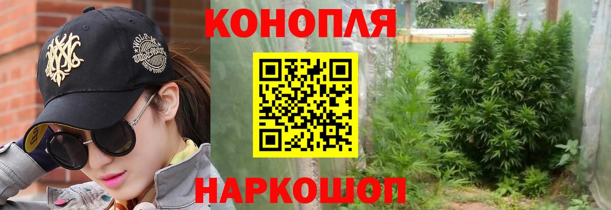Бошки Шишки марихуана Камень-на-Оби